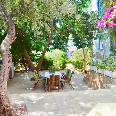 Miramar Guest house