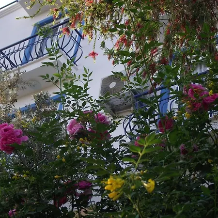 Miramar Casa de hóspedes 4*