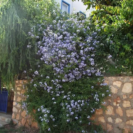 Casa de hóspedes Miramar 4*