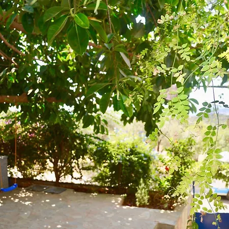 Miramar Gæstehus Kaş