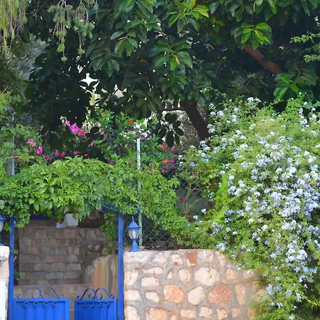 Miramar Casa de hóspedes