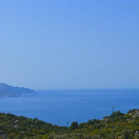 Miramar Casa de hóspedes 4*